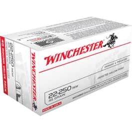 Winchester Winchester Ammo USA222502 Best Value 22-250 Remington 45 GR Jacketed Hollow Point - 40rd Box